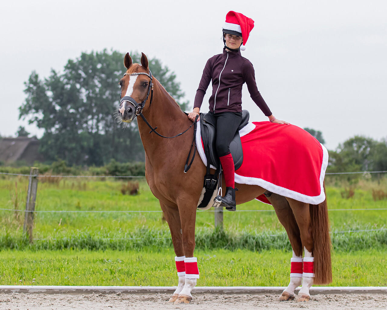 QHP Weihnachts-Ausreitdecke