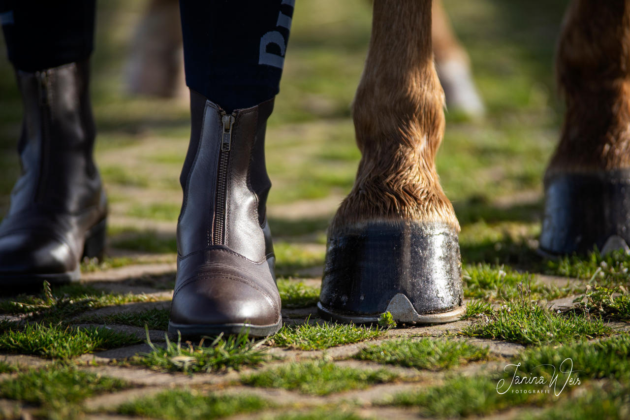 Suedwind Stiefelette Black Boston - 