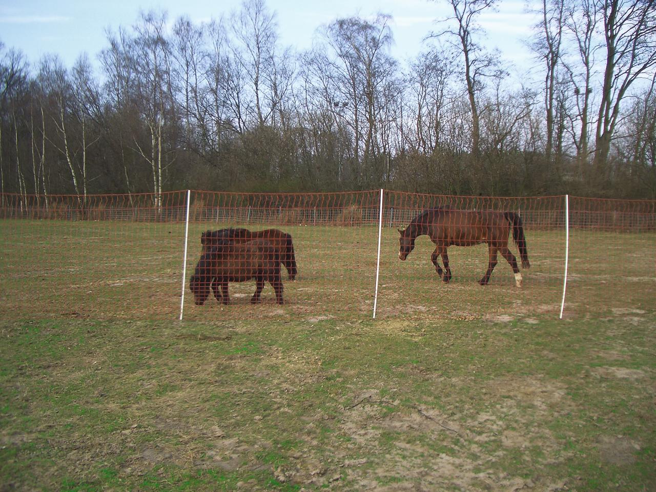 Göbel EURO MUSTANG WEIDENETZ für Pferde 145 cm