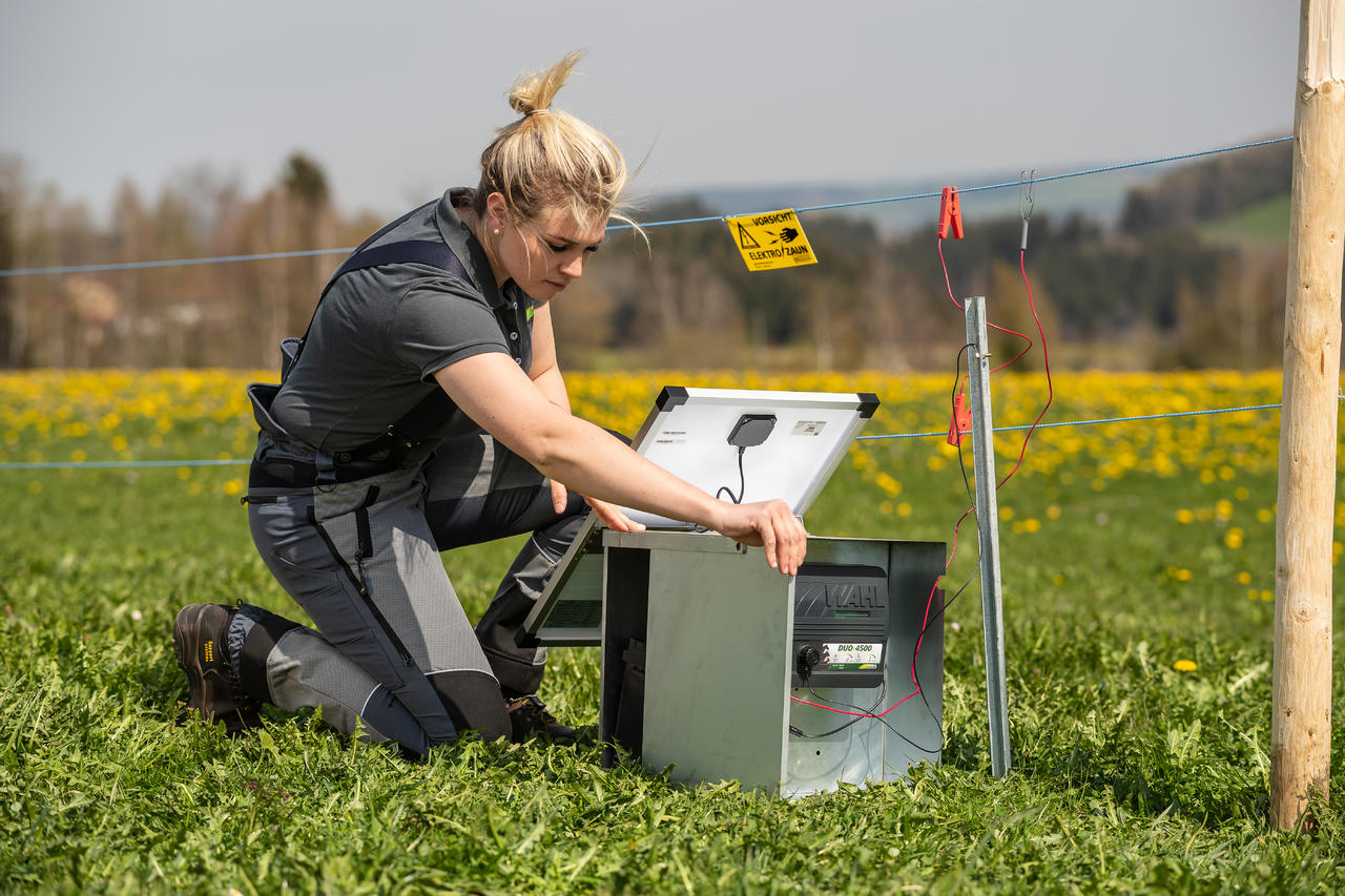 AKO Metall-Akkukasten für 12 V-Weide-Geräte