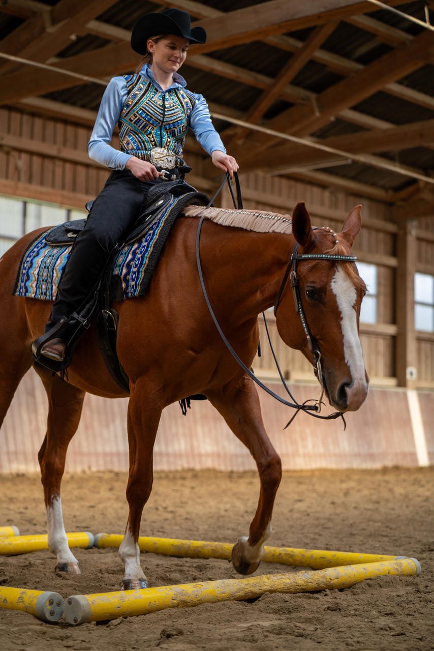 Harness Reins 1/2 x 7'