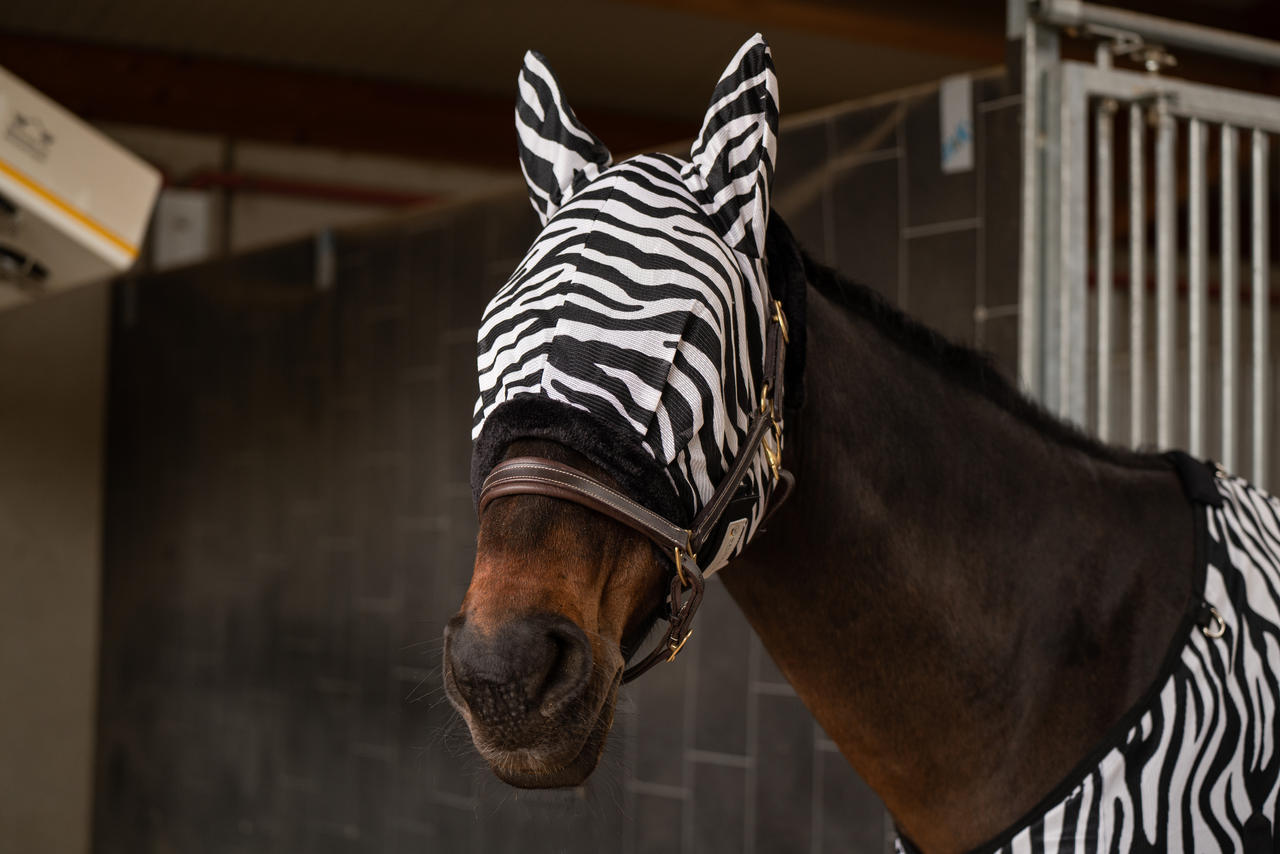 Waldhausen Fliegenmaske Zebra