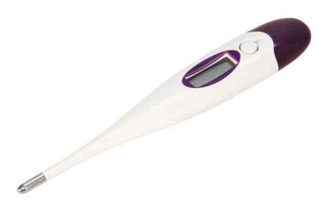 Kerbl Fieberthermometer digital schnellmessend