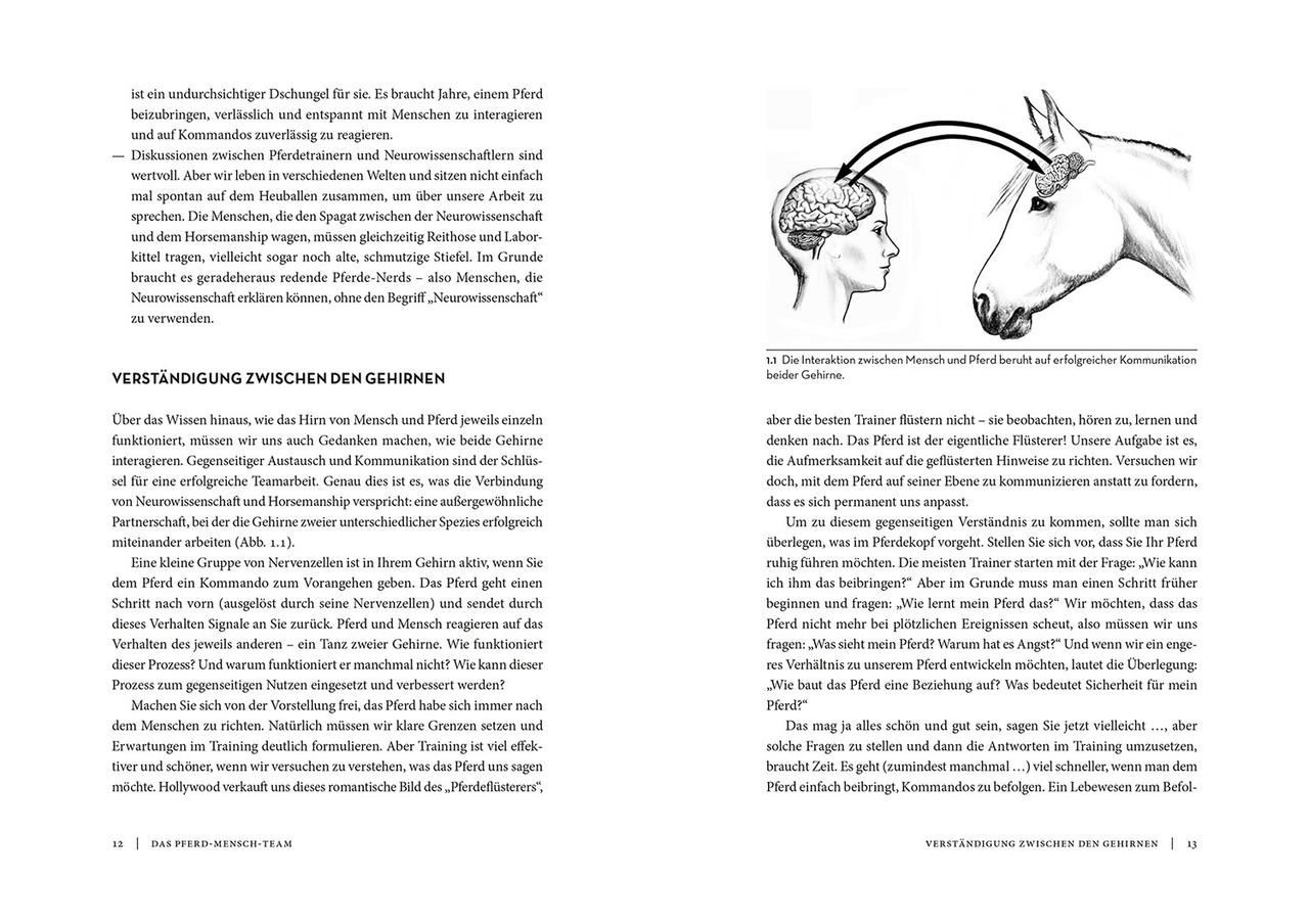 Kosmos Horse Brain Human Brain