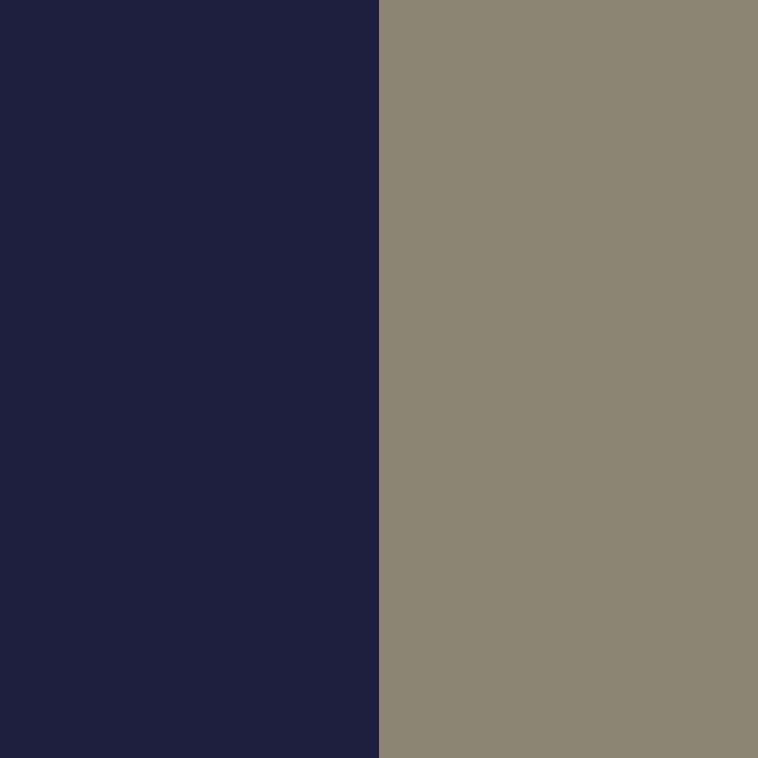 navy-velvet taupe