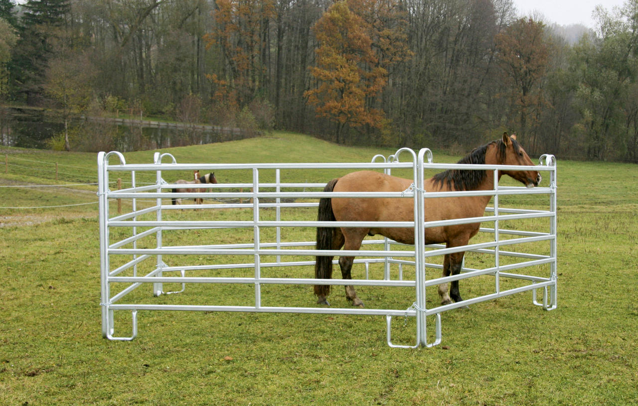 WAHL-Hausmarke Panel 2,4 m Länge, 1,7 m Höhe, Standard