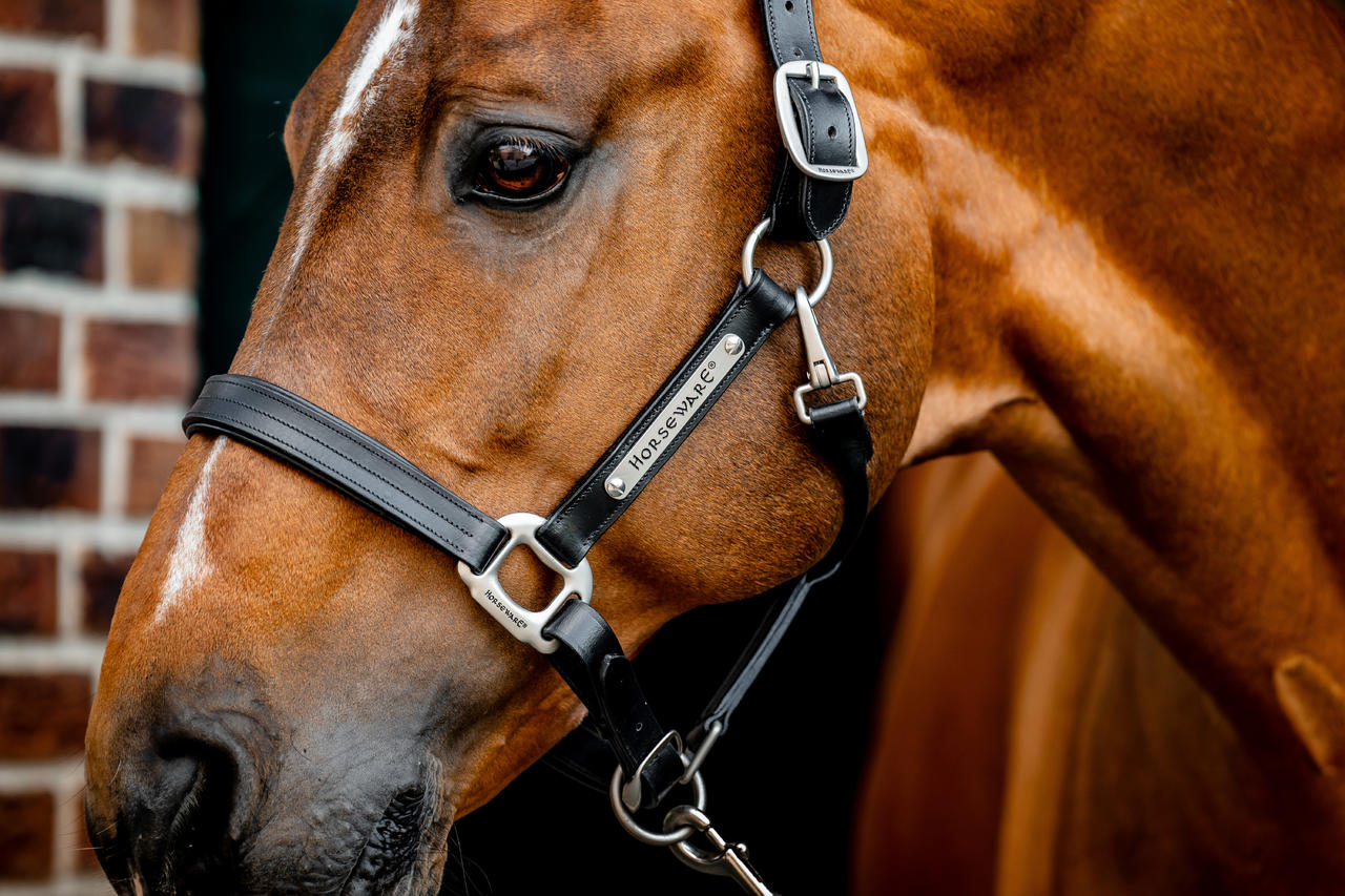 Horseware Signature Leather Headcollar