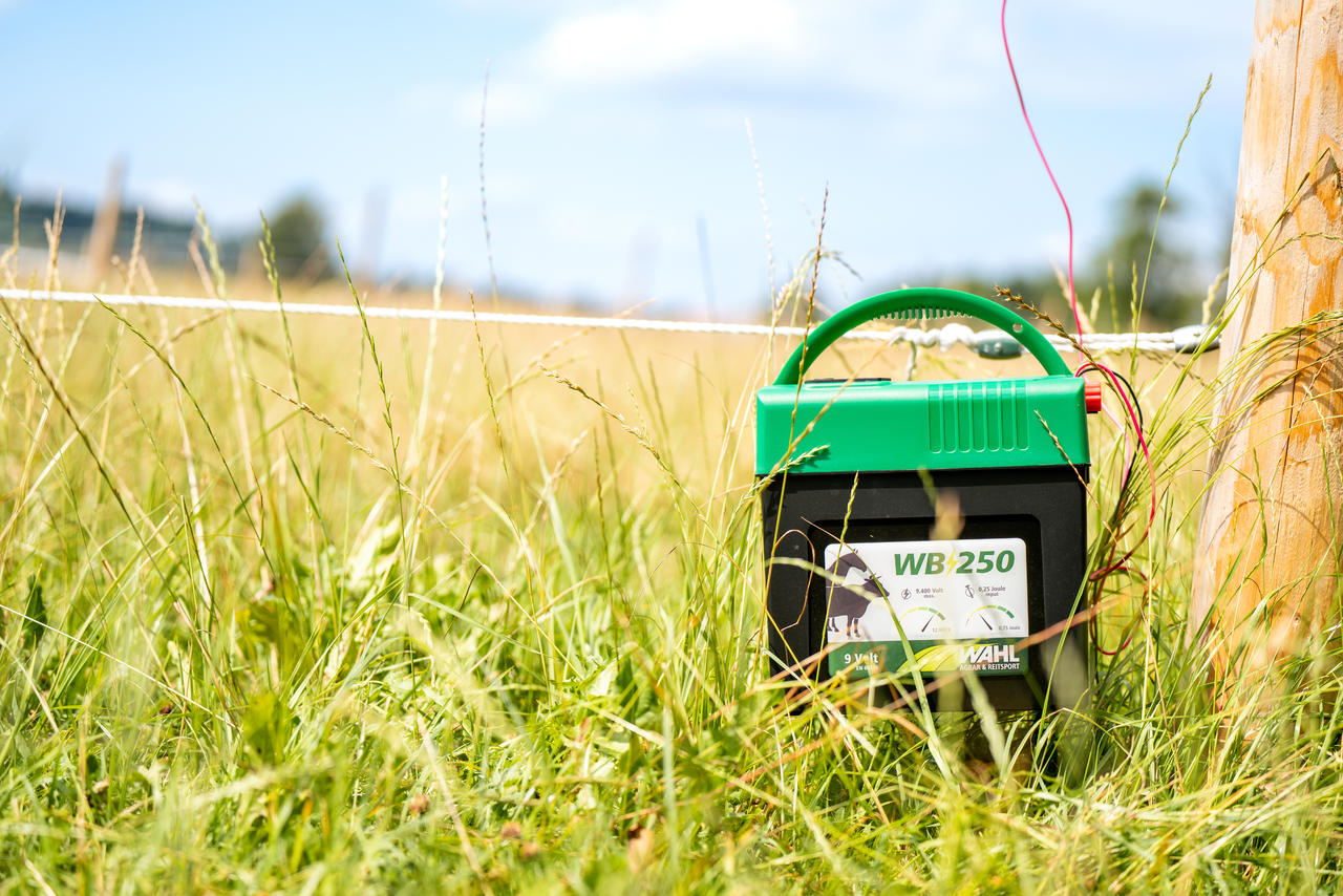 WAHL-Hausmarke WB 250 - 9 V-Batterie Weidezaungerät