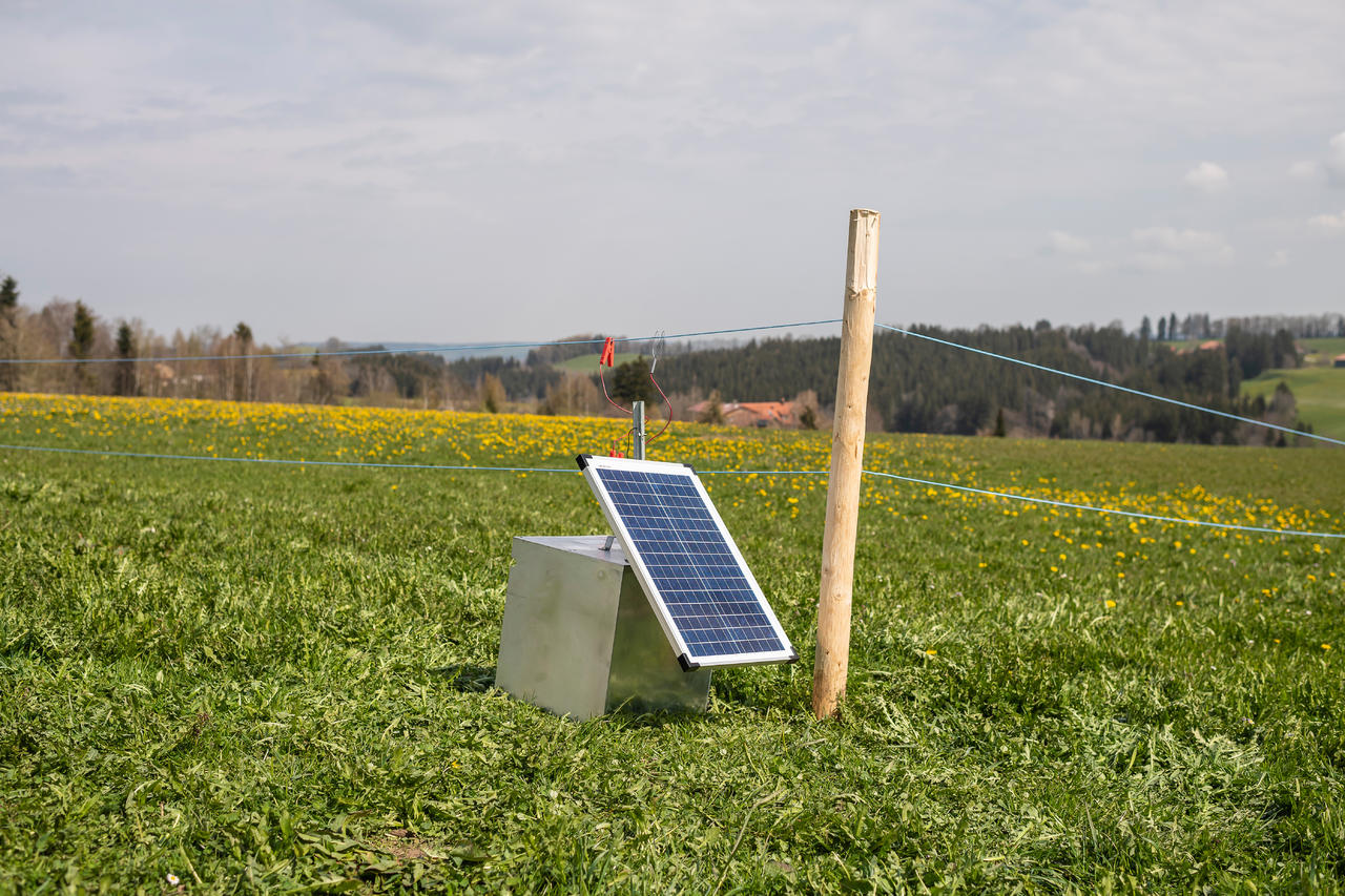 AKO Solarpanel 15W passend f. Weidezaungerät