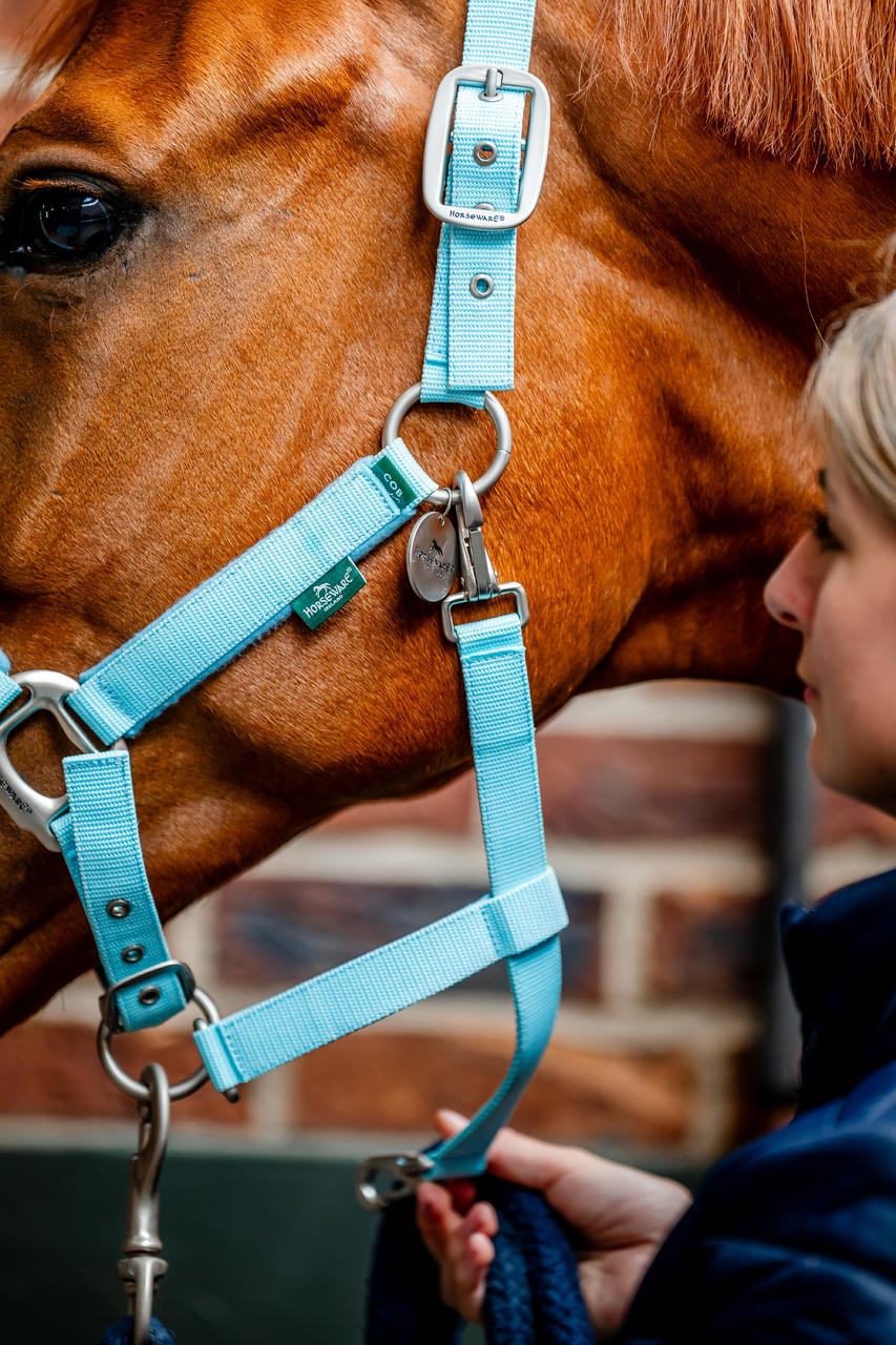 Horseware Signature Grooming Headcollar