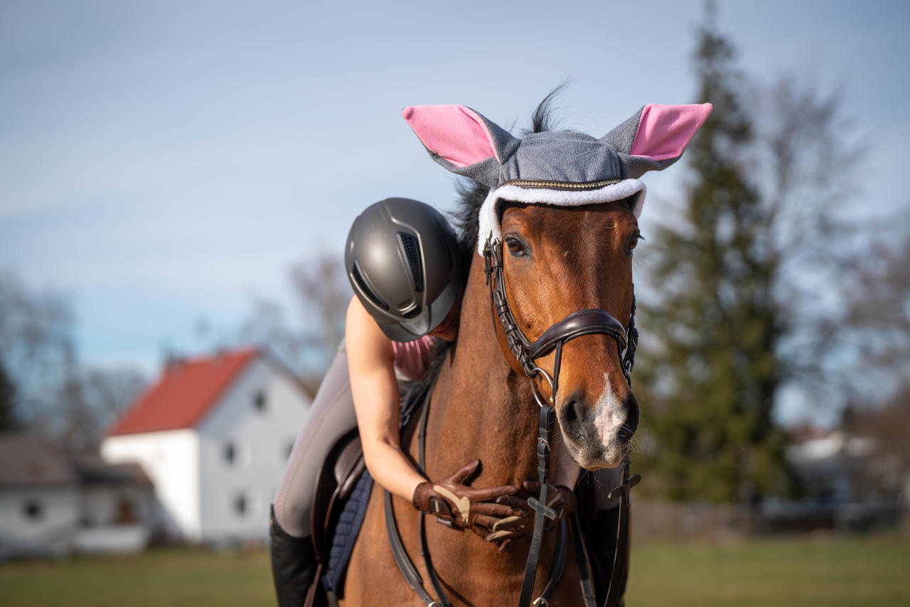 QHP Osterhasenohrenhaube