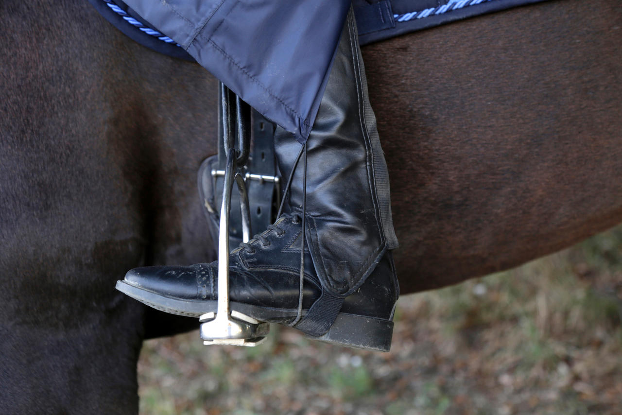 Covalliero Regenponcho für Erwachsene unisize