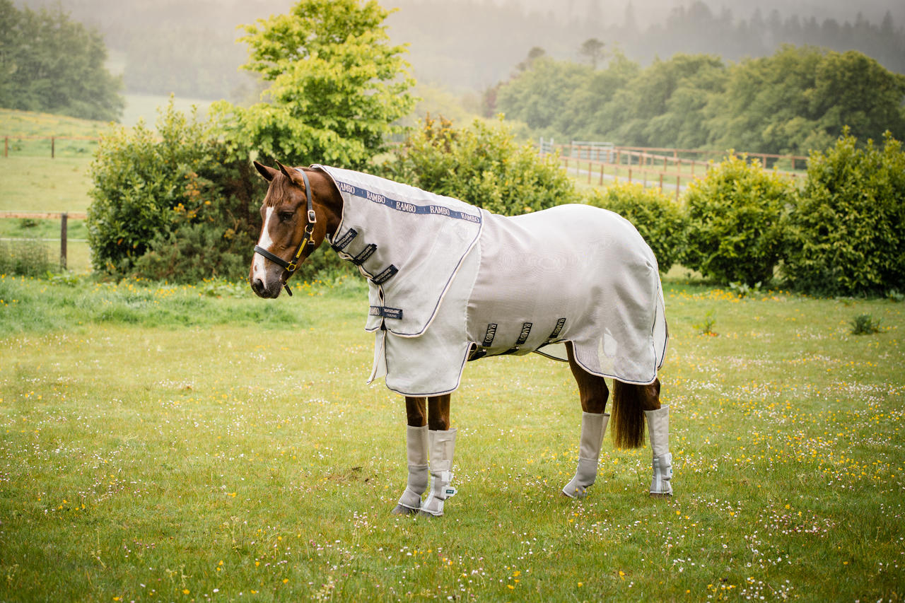 Horseware Rambo Protector Plus