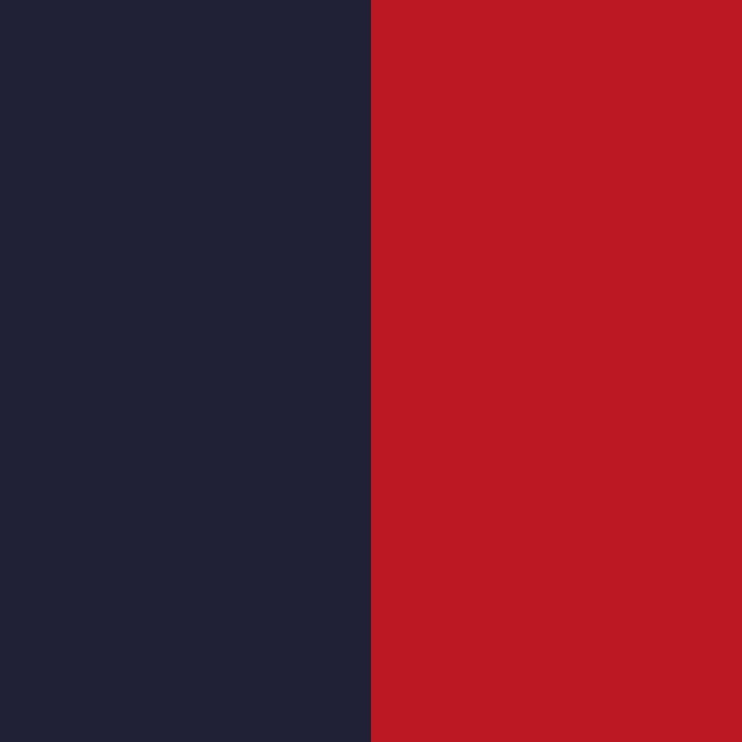 navy/navy & red