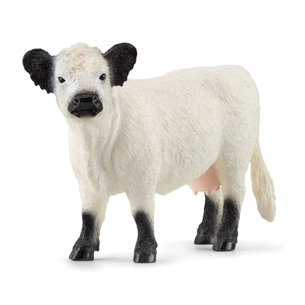 Schleich Galloway Kuh