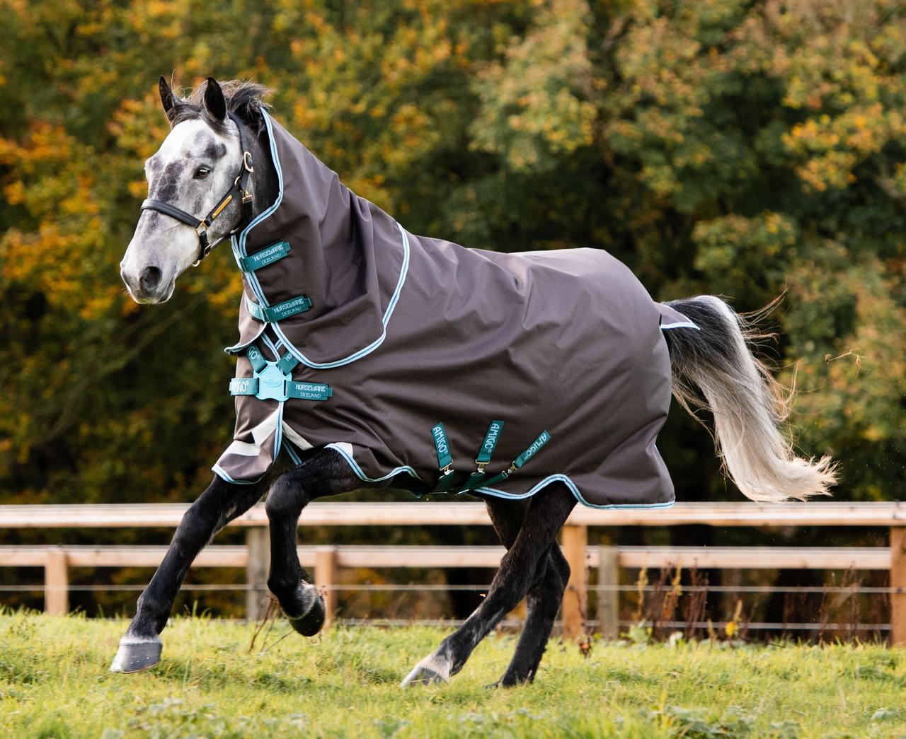 %% reduziert Horseware Regendecke Amigo Bravo12 mit 250 g mit on sale Linersystem für weitere Unterdecken oder Halsteil Pferdedecke, Winterdecke SONDERVERKAUF, Lagerräumung Neuware 125,130,140,145,155,160