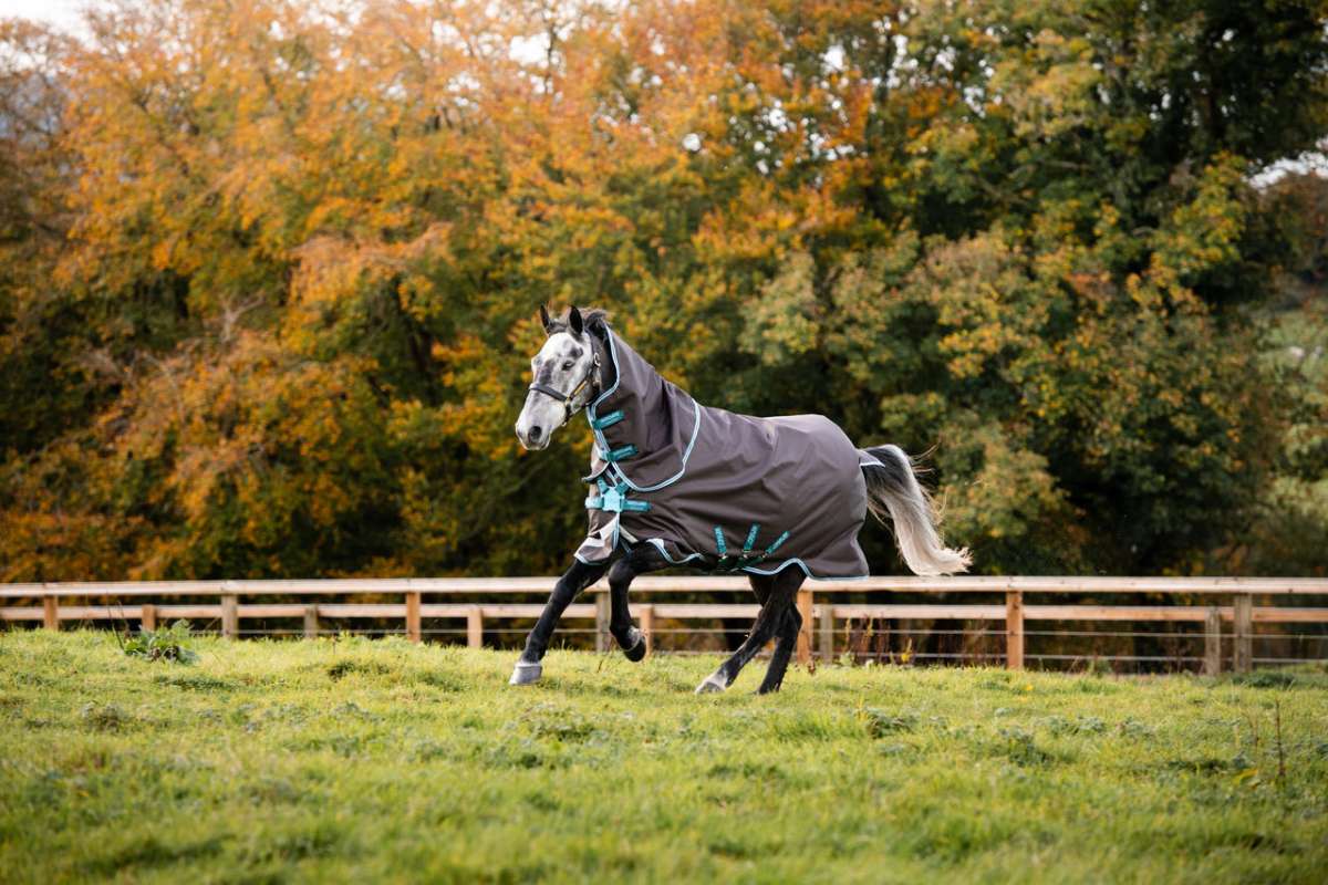 %% reduziert Horseware Regendecke Amigo Bravo12 mit 250 g top mit Linersystem für weitere Unterdecken oder Halsteil Pferdedecke, Winterdecke SONDERVERKAUF, Lagerräumung Neuware 125,130,140,145,155,160